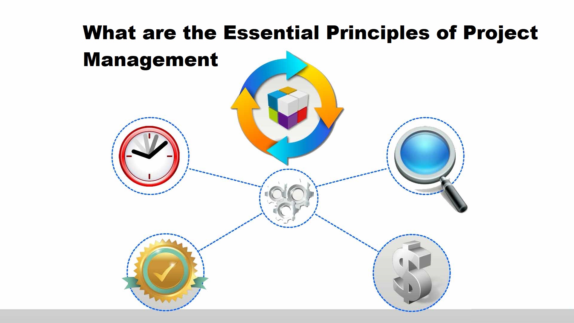 What Are The Essential Principles Of Project Management