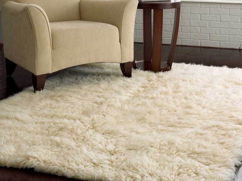 wool carpets for home